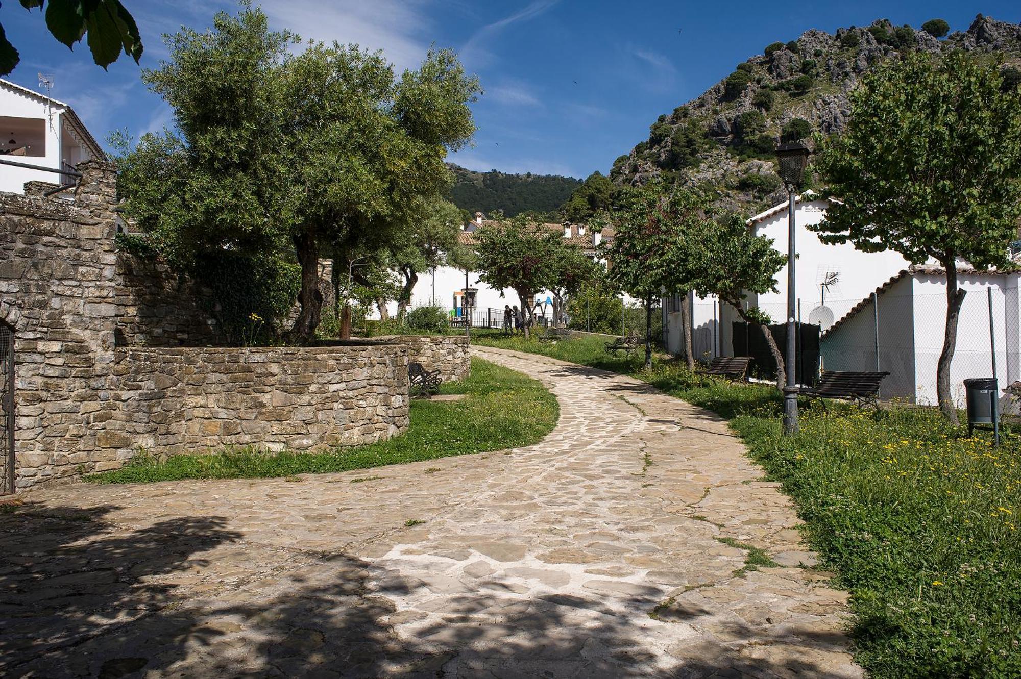 Casa Rural La Callejita Грасалема Екстериор снимка